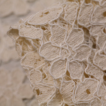 Cutlined Flowered Lace
