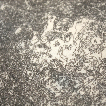 Greyscale Fine Print