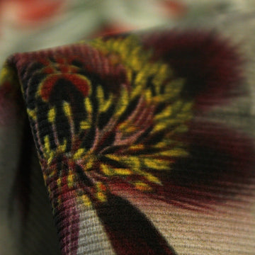 Rebecca's Dream Pique