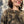 Rae Top Pattern