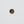 Mussel Shell Button