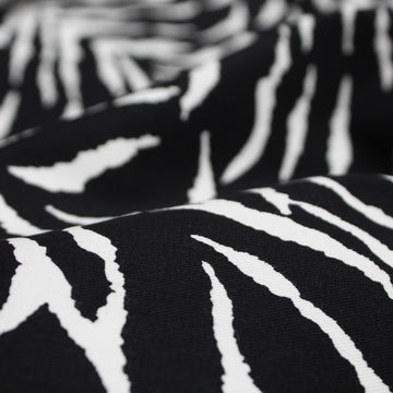 Zebra Land