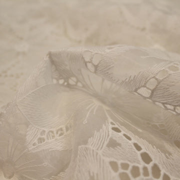 Embroidered Organza Offwhite/Beige