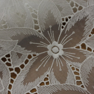 Embroidered Organza - Off White
