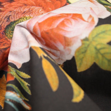 Blue Rose Of Rome Black