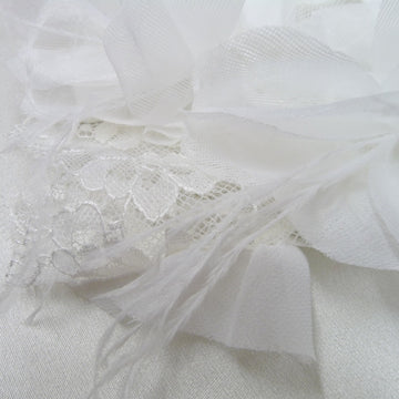 Emb Tulle Feathers Ivory