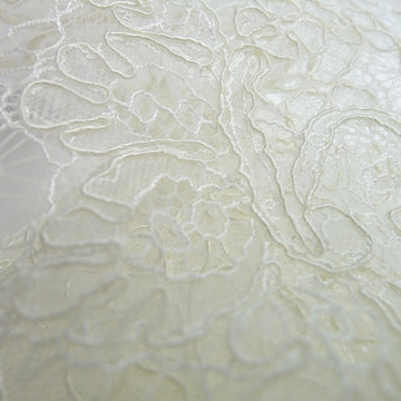 Embroidered Tulle Trim