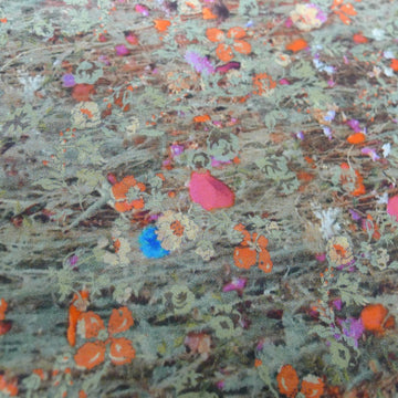 Mawston Meadow Orange