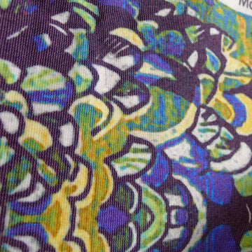 Deep Toucan Secundus Ponti