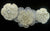 Daisy Trim- Ivory/Silver