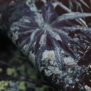 Liberty Tana Lawn - Otillia Blue