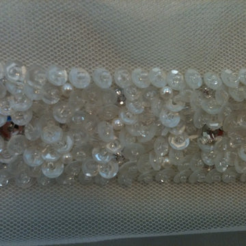 Fancy Sequin Trim - SSD 395