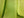 Como Celery