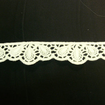 T2385 //- Lace Trim
